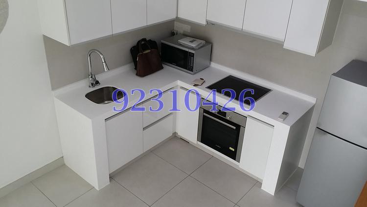 The Rochester Residences (D5), Apartment #99366662